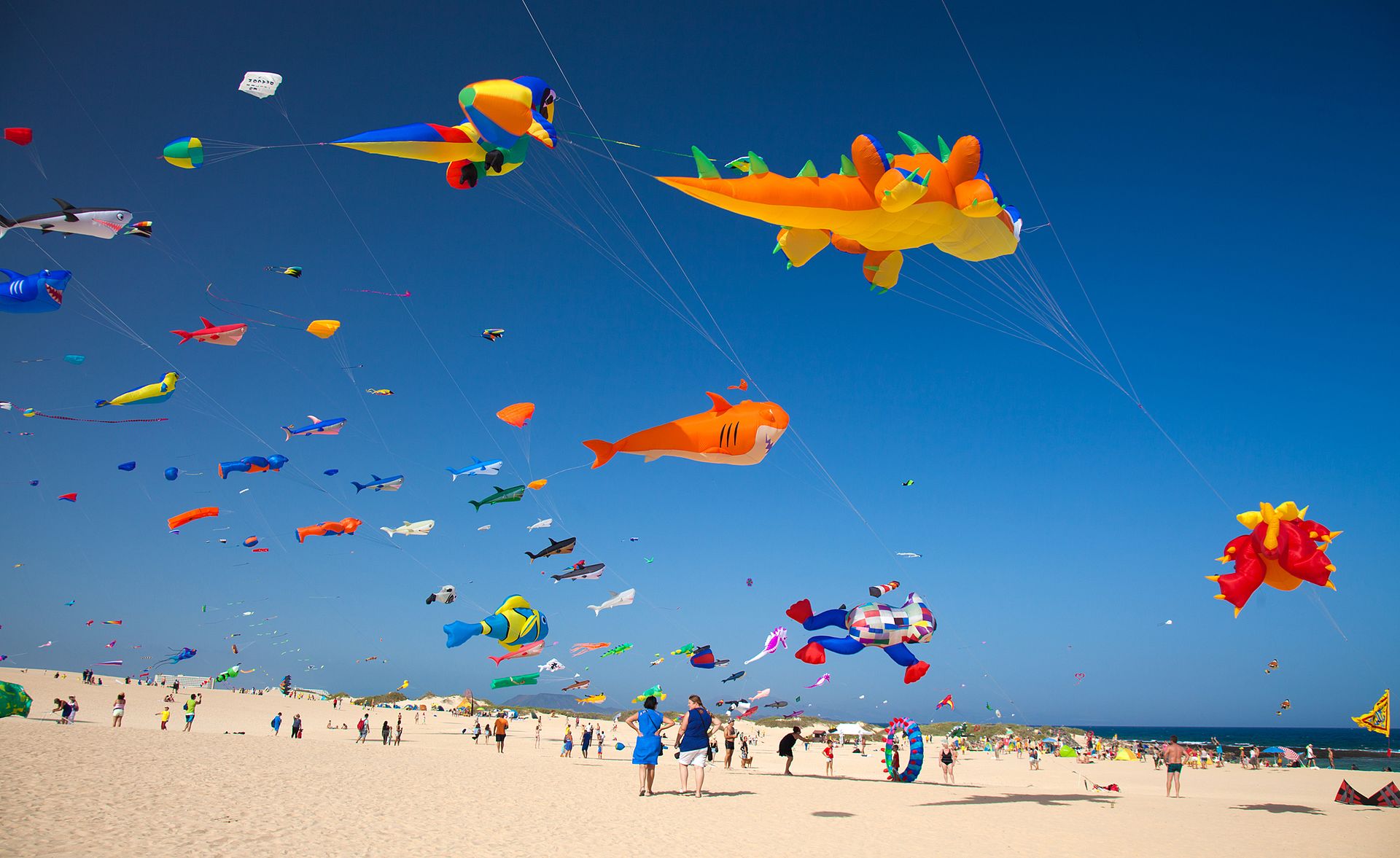 Festival de cometas en Corralejo