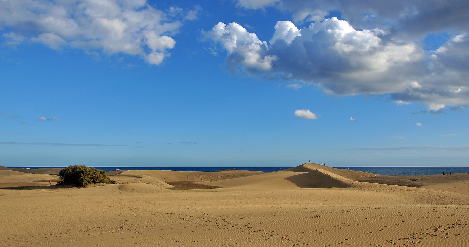 Fuerteventura o Gran Canaria: diferencias y cuál elegir