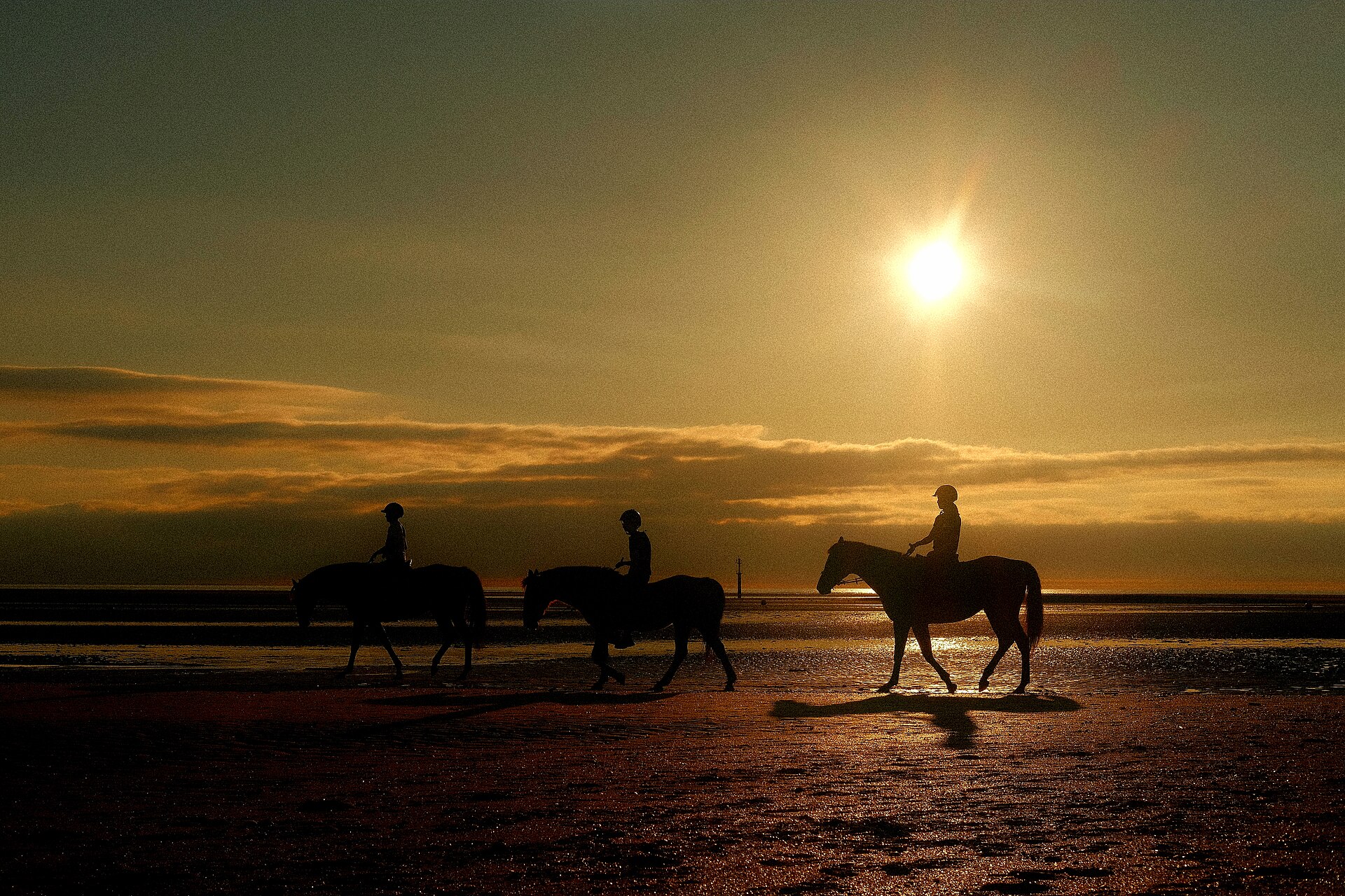 Paseos a caballo por las dunas de Corralejo