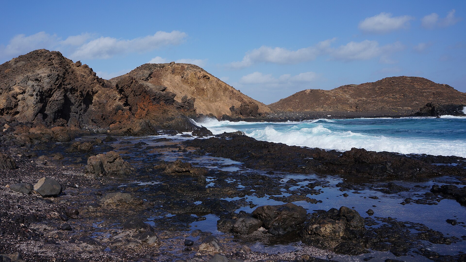 Snorkel en Corralejo: dónde ver peces y tortugas